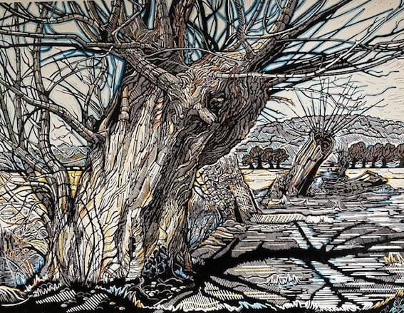 Myrtle Pizzey, Looking Towards Ben Knowle Hill