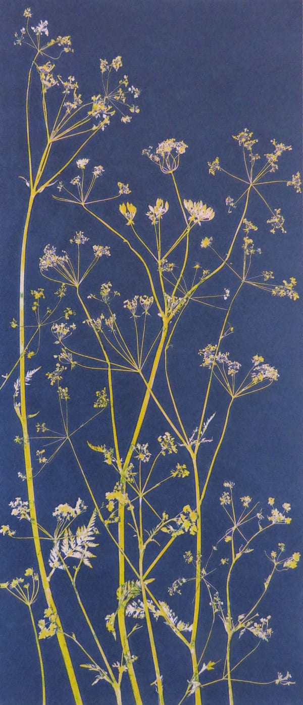 Robin Moorcroft, Wild Edges 2