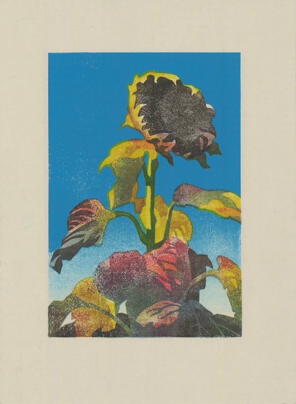 Paul Catherall, Autumn Sunflower II, 2024