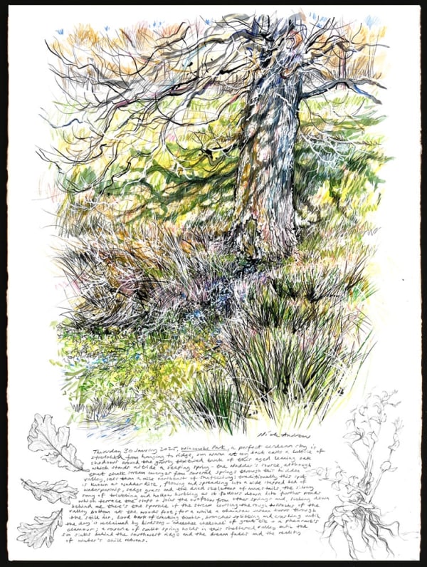 Nick Andrew, Source of The Nadder 300125