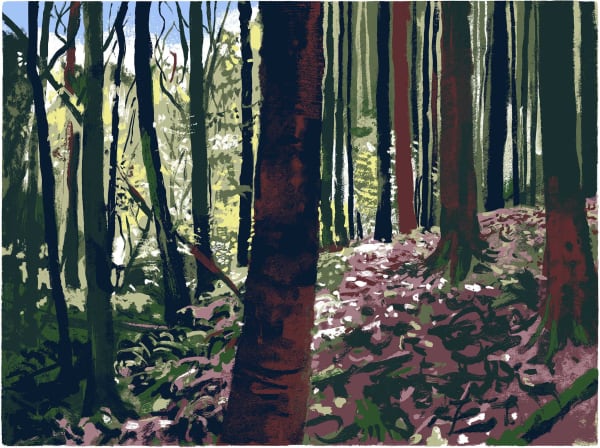 Andy Lovell, Silva Light