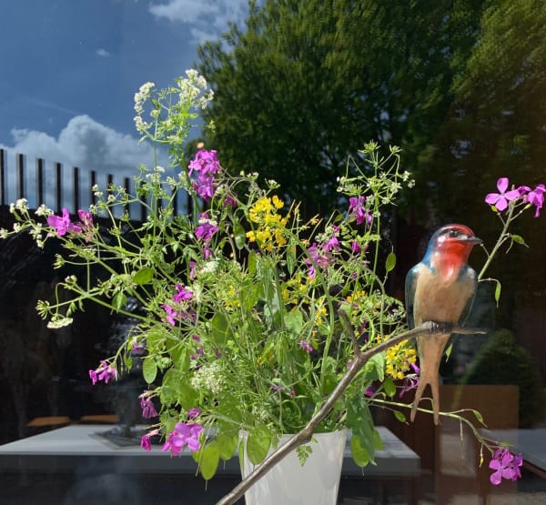 Fred Gordon, Barn Swallow