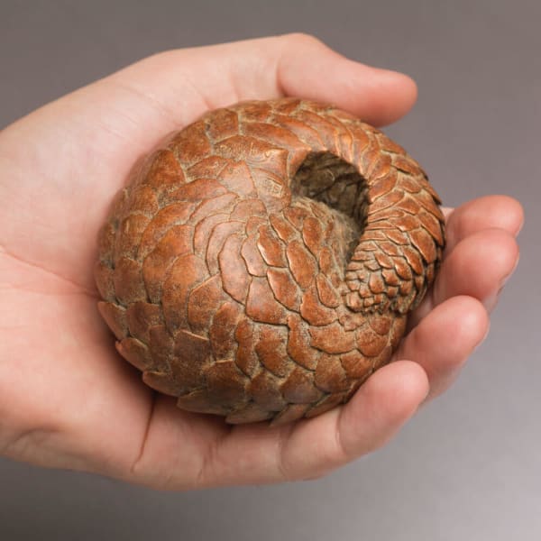 Nick Bibby, Pangolin
