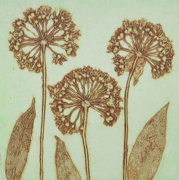 Robin Moorcroft, Wild Garlic