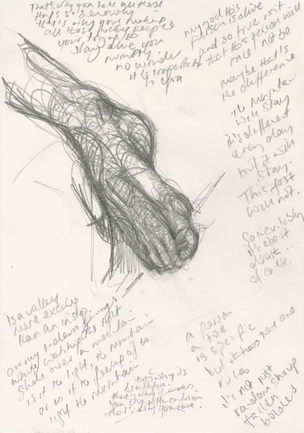 Carol Peace, Is a valley more exciting than an instep?, 2025