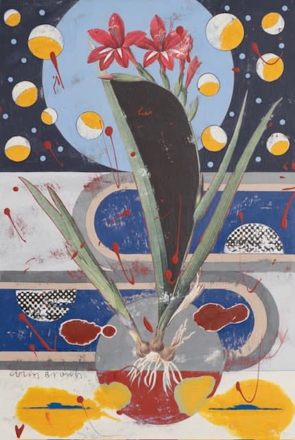 Colin Brown, Waterfall Gladiolus