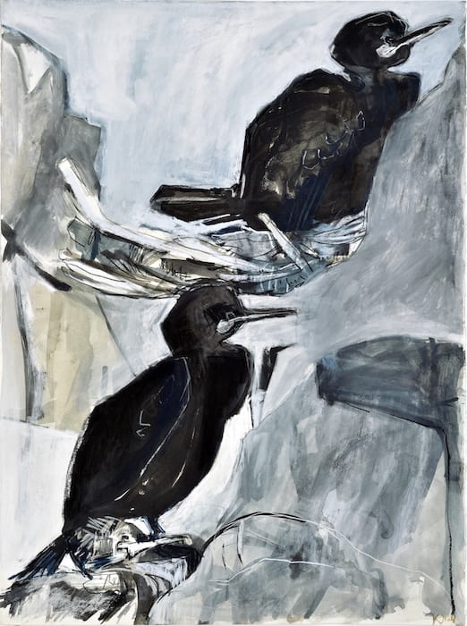 Kittie Jones Nesting Shags on Fidra Mixed media 75 x 55 cm