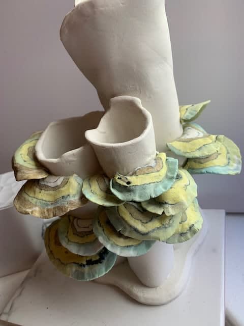 Maralyn Reed-Wood Turkey Fungus II Porcelain Nerikomi pot 23 x 15 cm