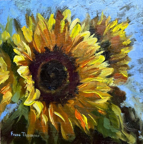 Fiona Thomson Small Sunflower Study Oil on plywood 15 x 15 cm Framed 23 x23 cm