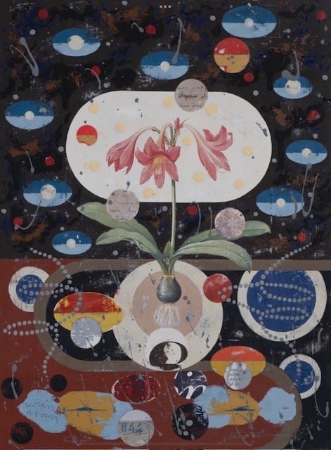 Colin Brown, Amaryllis