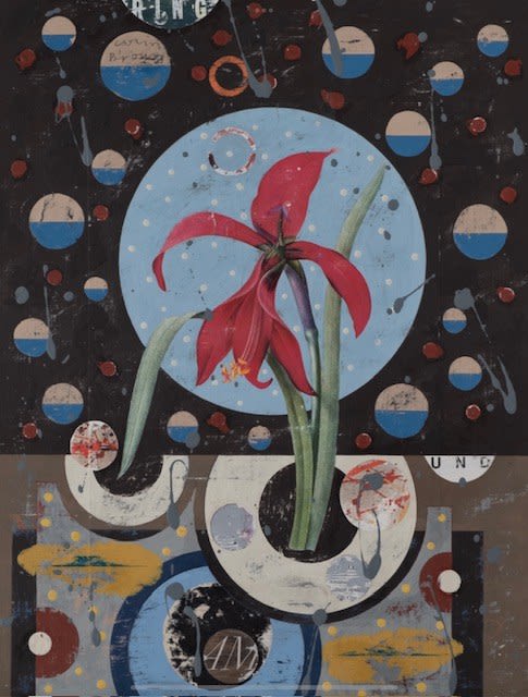Colin Brown, Jacobean Lily II