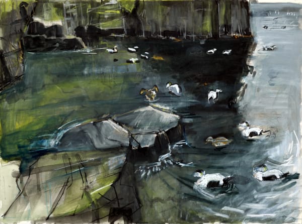 Kittie Jones Eider Season, Isle of May Ink, charcoal, pastel & pencil 76 x 56 cm Framed 90 x 70 cm