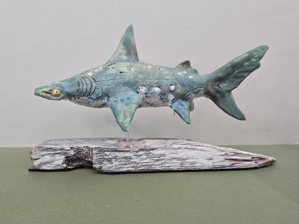 Lesley D McKenzie, Hammerhead Shark