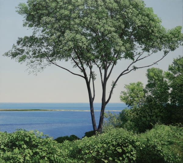 Oil painting of tree and foliage before ocean on canvas