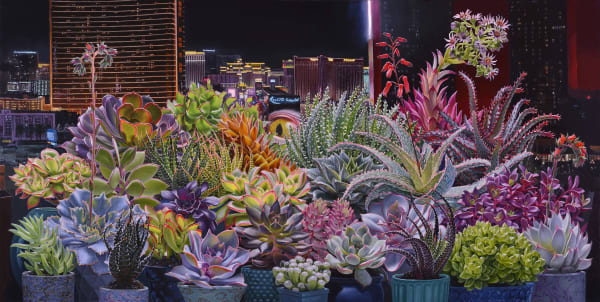 Table top with 14 succulent plants in front of a window with the night sky