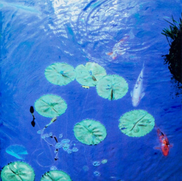 Image of pond with water lilies and koi fish