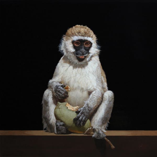 Patricia Traub, YOUNG VERVET MONKEY EATING A BAOBAB FRUIT, 2020
