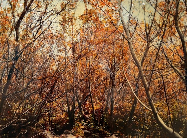 Mixed media work of dense woods in fall