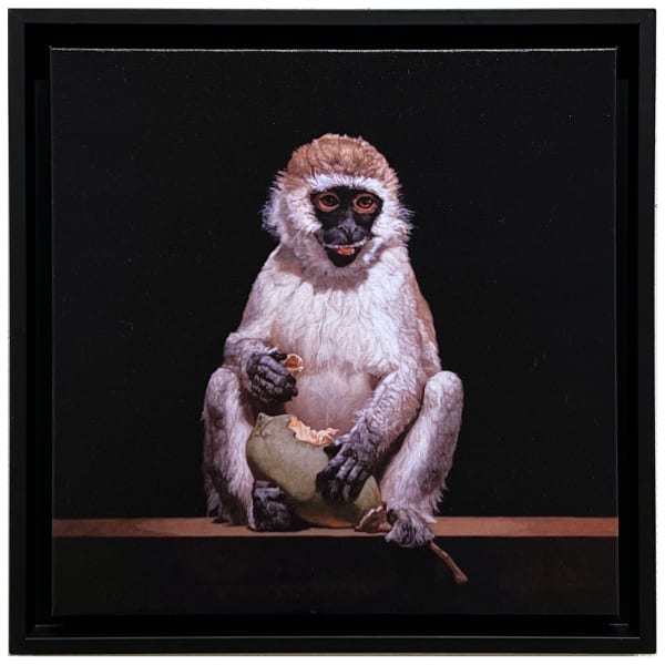 Print of painting of Monkey sitting on a ledge