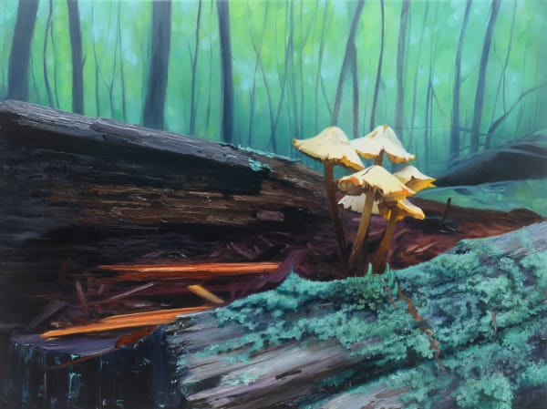 Oil painting of mushrooms in forest on panel