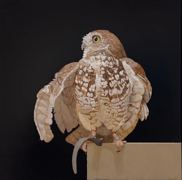 Painting of an owl with a tether on it's foot
