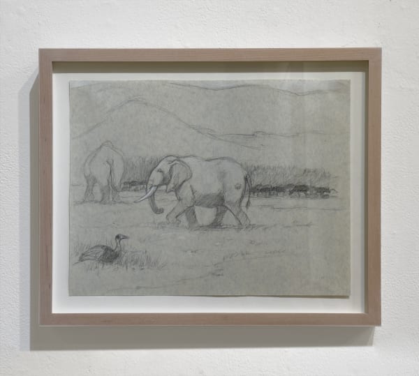 Scene of two elephants and a bird