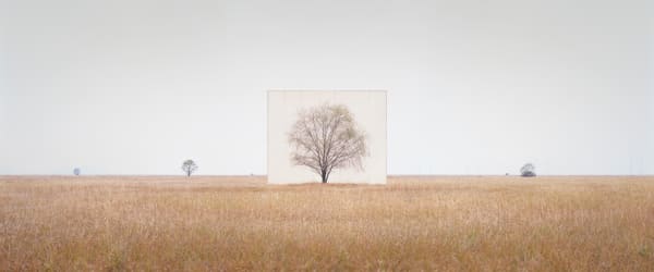 LEE MYOUNGHO, Tree... #3, 2012