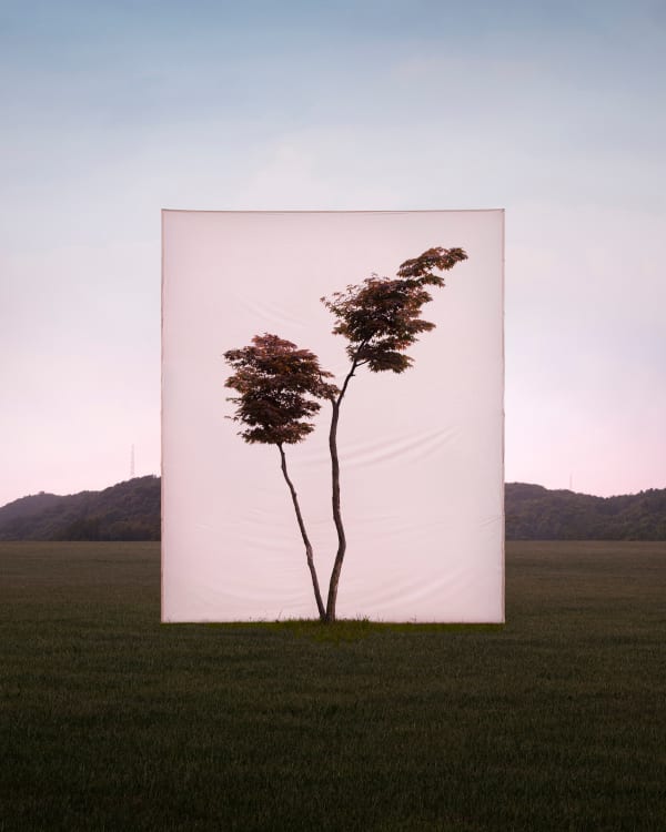 LEE MYOUNGHO, Tree #16_1, 2018