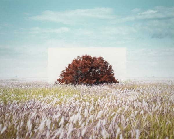 LEE MYOUNGHO, Tree... #15, 2022