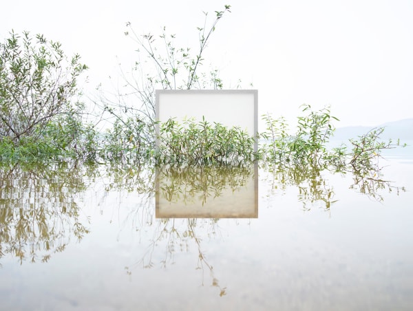 LEE MYOUNGHO, Heritage #1_1, 2024