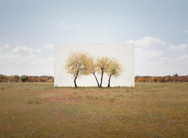 LEE MYOUNGHO, Tree... #4, 2013