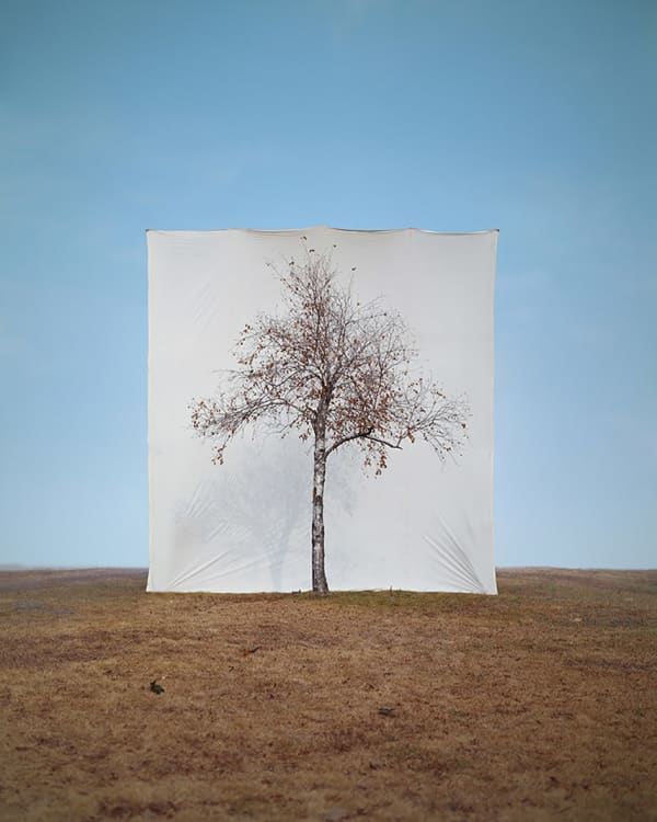 LEE MYOUNGHO, Tree #1, 2006