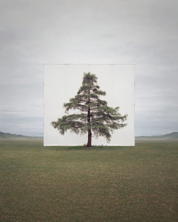LEE MYOUNGHO, Tree... #6, 2014