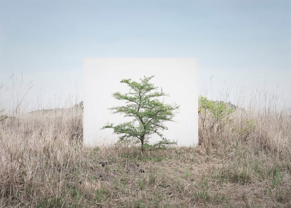 LEE MYOUNGHO, Tree... #9, 2017