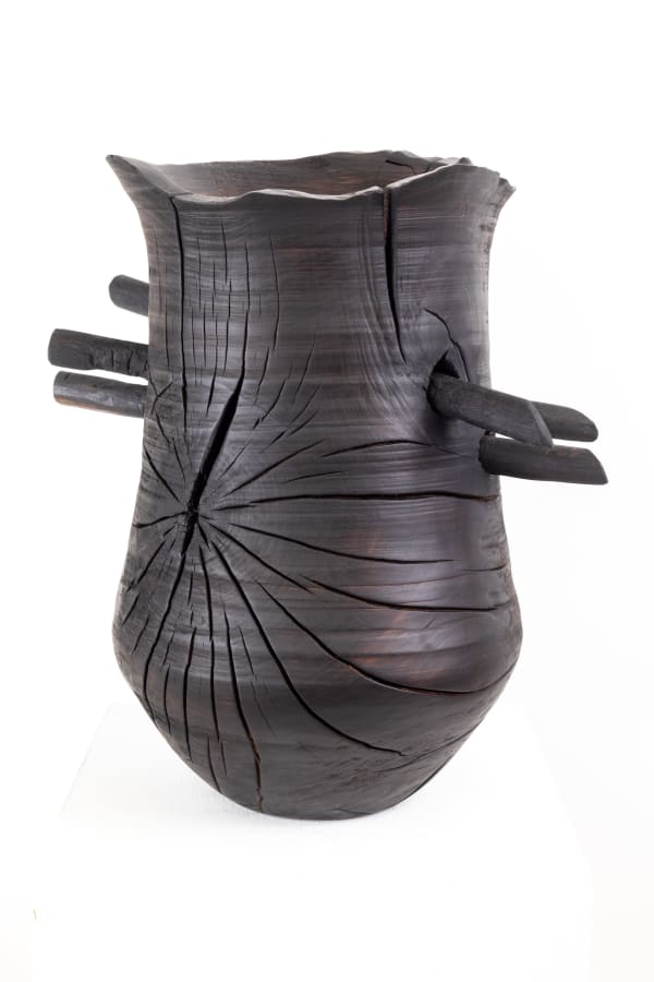 Julian Emsley, Barriers in Maple I, 2025