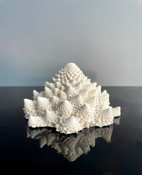 Jasmine Pradissitto, Spira Sapiente, 2025