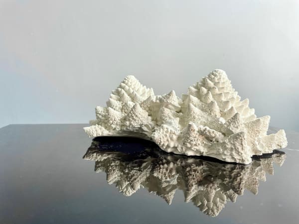 Jasmine Pradissitto, Monticulus, 2025