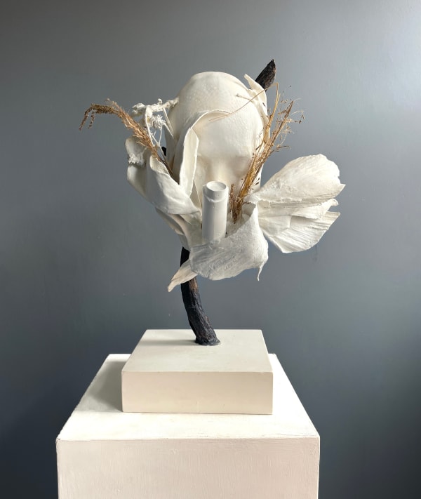 Jasmine Pradissitto, Rewilding, 2021