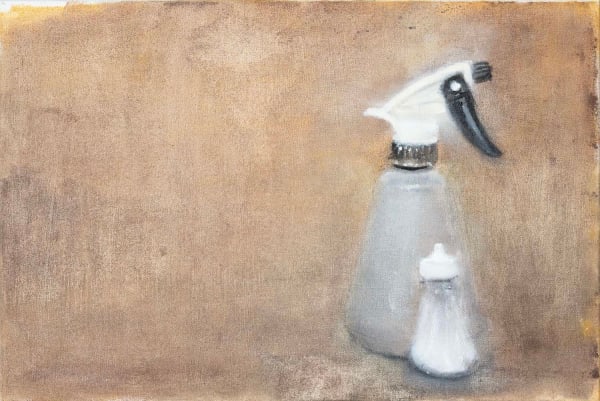 Spray Bottle and Salt Shaker