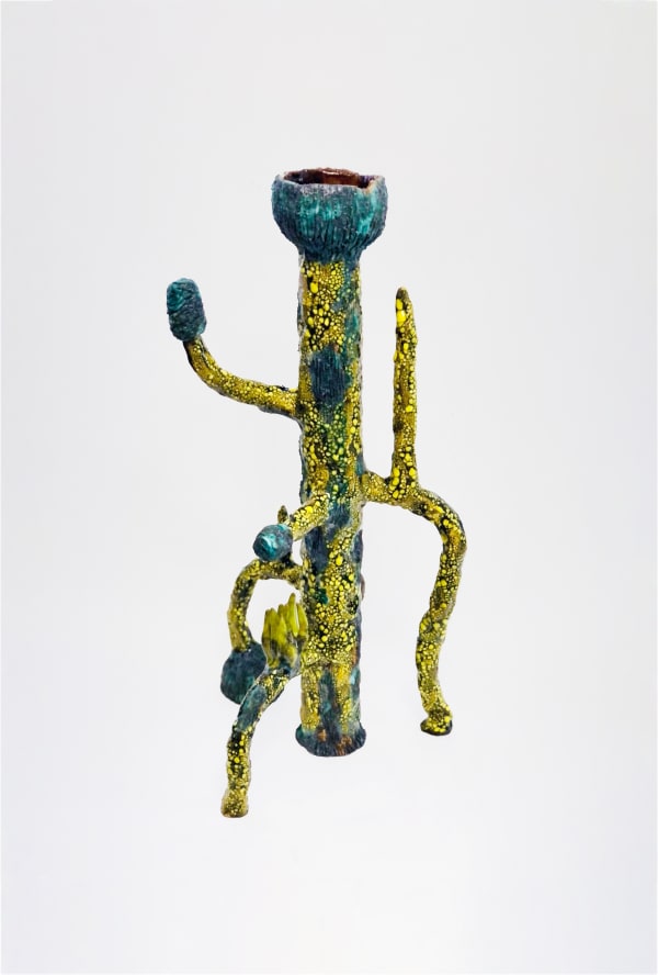 Mangrove Vessel Series No.3