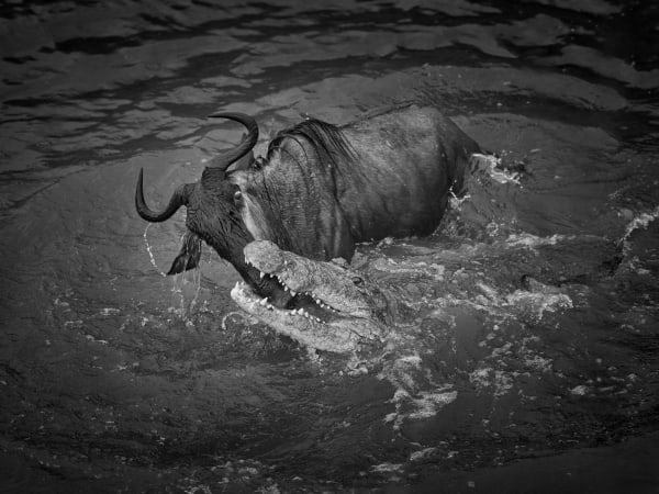 Tom D. Jones, Unequal Battle