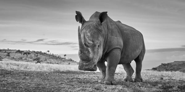 Tom D. Jones, Field Patrol M