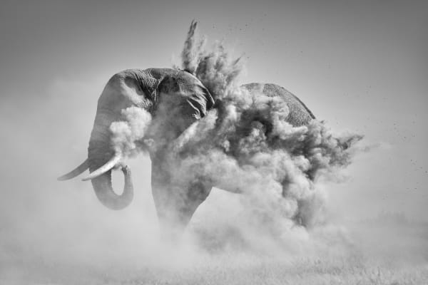 Tom D. Jones, Dust Explosion