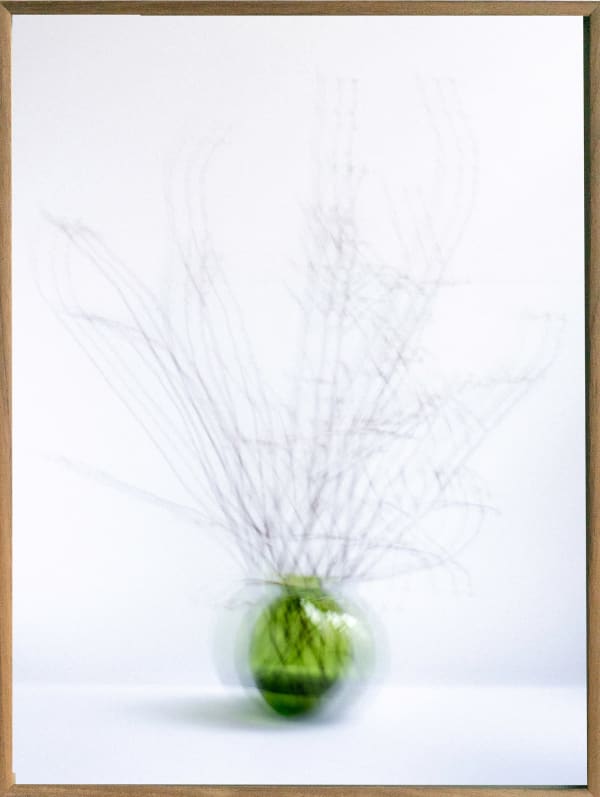 Merette Uiterwaal, Untitled (brown / green), 2023