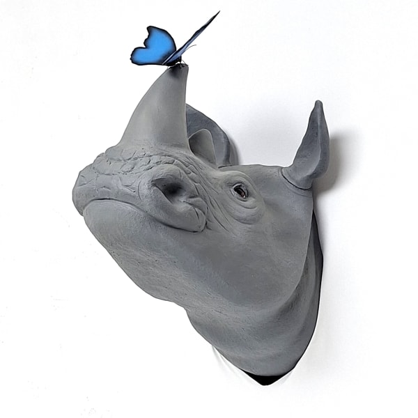 Henk Jan Sanderman, Peekaboo - neushoorn