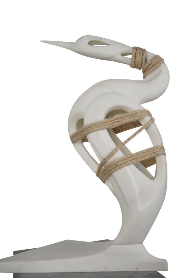 John Bizas, Ecosystem