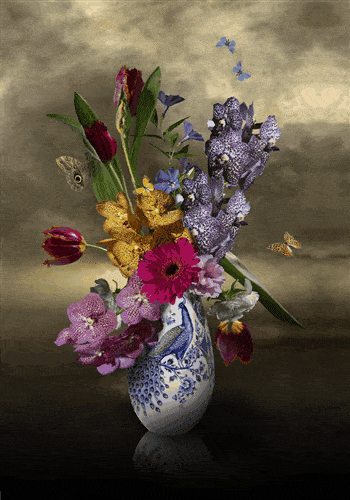 Sander van Laar, Royal Heinen, 2023