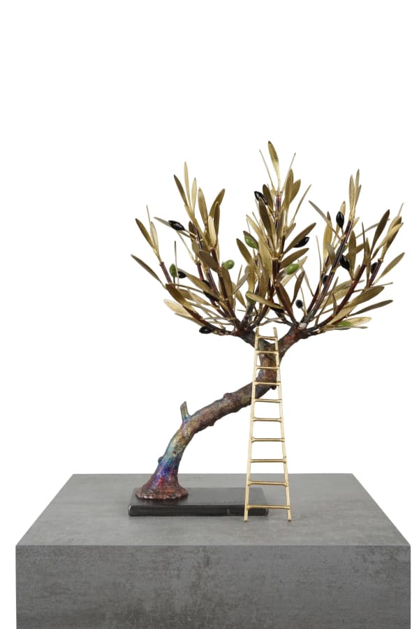 Aggelos & Filippos Panayiotidis, Olijfboom Met Trap (ελαιόδεντρο με σκάλες)