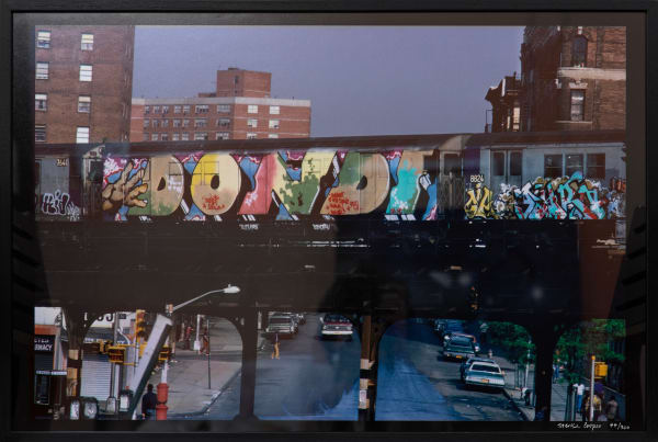 Martha Cooper, Top to Bottom whole car painted by Dondi passing through the Bronx, 1980