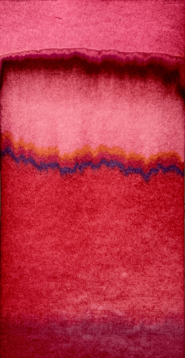 Tomislav Topić, Selbstläufer Goa No. 12, 2025